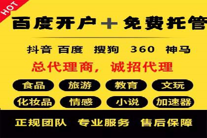 SEM代理案例：从零到一，见证品牌崛起